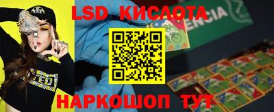 шишки Лесосибирск