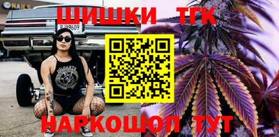 шишки Лесосибирск